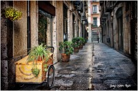 /album/fotogaleria-girona/carrer-dels-mercaders-640x480-jpg/